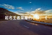 起名王者荣耀的小孩、《王者荣耀小将起名记：传奇少年诞生记》
