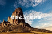 属龙农历11辰时生