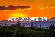 属龙人2022年官司纠纷：揭秘潜在法律风险