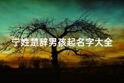 宁姓楚辞男孩起名字大全(宁姓取名女孩属虎单字)