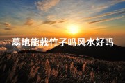 墓地能栽竹子吗风水好吗