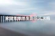 家里荒草丛生影响风水吗-荒草丛生家中，风水影响知多少？