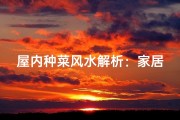 屋内种菜风水解析：家居绿意与运势和谐之道