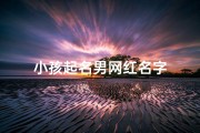 小孩起名男网红名字