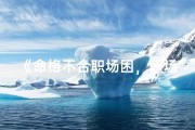 《命格不合职场困，职场奇才何处寻》