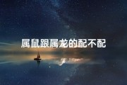属鼠跟属龙的配不配