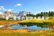 十二星座的宠物水晶是什么(十二星座专属水晶水瓶是石榴石双鱼是紫水晶)
