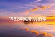 1982年属狗9月的命格_《1982年属狗9月命格揭秘：运势与人生启示》