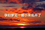 孕妇梦见一颗小米花开了,孕妇梦见一颗小米花开了好不好