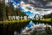 11月初十是什么日子;11月初十吉日：传统佳节喜庆迎祥瑞