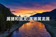 属猪和鼠龙(属猪属龙属鼠，揭秘最适合住的楼层)