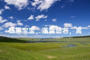 杨丽宝宝，温馨命名，寓意美好未来