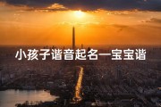 小孩子谐音起名—宝宝谐音名字