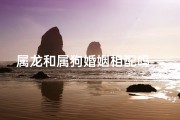属龙和属狗婚姻相配吗—属龙和属狗婚姻相配吗？