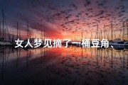 女人梦见摘了一桶豆角、女人梦见摘了一桶豆角吃