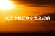 张士小孩起名字怎么起的
