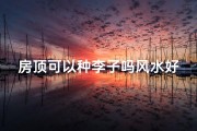 房顶可以种李子吗风水好吗,房顶可以种李子吗风水好吗视频