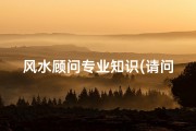 风水顾问专业知识(请问什么是风水顾问 有人知道吗 解释下咯 )