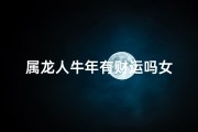 属龙人牛年有财运吗女