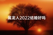 属龙人2022结婚好吗_属龙人2022婚运大吉：结婚吉日好选择
