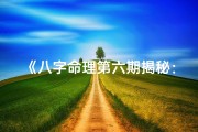 《八字命理第六期揭秘：深度解析命运奥秘》