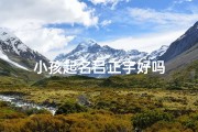 小孩起名吕正宇好吗
