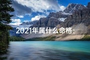 2021年属什么命格：揭秘生肖运势之谜