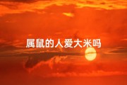 属鼠的人爱大米吗