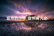宜州的小学;宜州育儿必备：哪里有专业帮小孩起名服务？