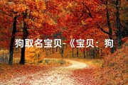 狗取名宝贝-《宝贝：狗狗的温馨昵称，家的守护者》