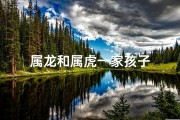 属龙和属虎一家孩子