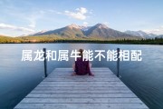 属龙和属牛能不能相配