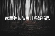 家里养花防落叶吗好吗风水