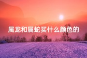 属龙和属蛇买什么颜色的车;属龙配属蛇的财运怎样