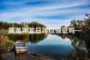属龙冲龙日可以领证吗—属龙冲龙日领证吉日？揭秘最佳婚期选择