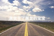 属鼠生了属龙的宝宝