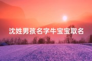 沈姓男孩名字牛宝宝取名;沈姓男孩名字牛宝宝取名大全