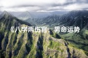《八字两伤官：男命运势起伏之谜》