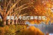 属龙人今日打麻将吉位;属龙今日打牌吉凶如何？