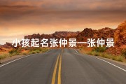 小孩起名张仲景—张仲景：小孩起名背后的智慧传承