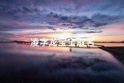 凌字龙宝宝取名