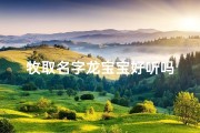 牧取名字龙宝宝好听吗
