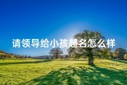 请领导给小孩起名怎么样;领导助力，为宝宝起名大作战