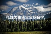 张姓男生猪宝宝取名字;张姓猪宝宝：寓意吉祥的个性名字推荐