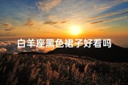 白羊座黑色裙子好看吗