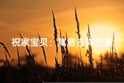 祝家宝贝：寓意吉祥的童年名字揭晓