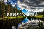 男孩起名2020属鼠金姓,金鼠宝宝降临，吉祥如意好名字揭晓