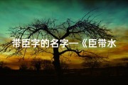 带臣字的名字—《臣带水寓意深远，宝宝名字新选择》