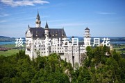 孩子小名叫五月_五月花开，小孩名字新选择