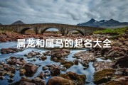 属龙和属马的起名大全